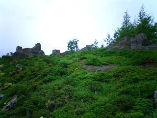 2004/05/08 23:11:45